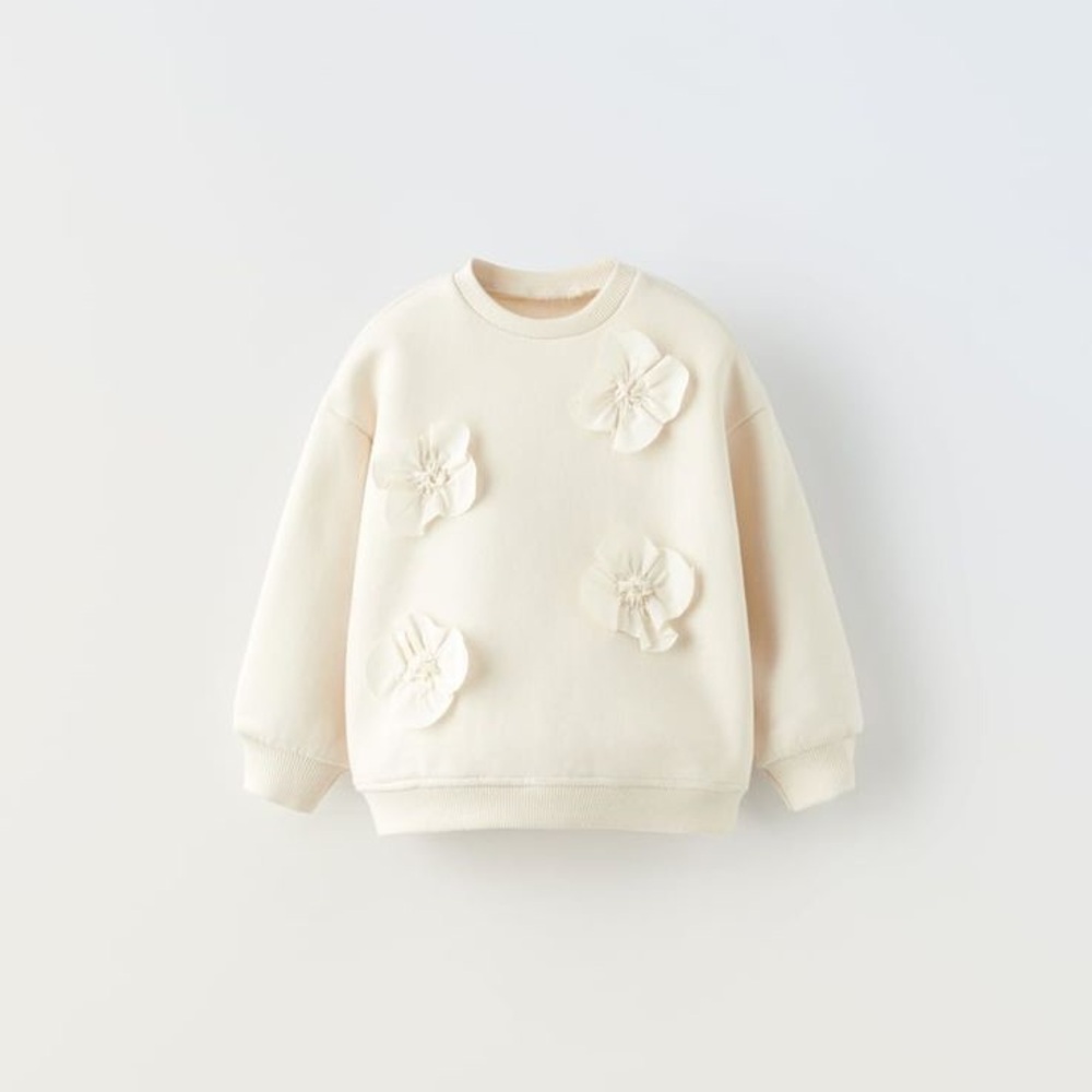 Light pink Zara Sweatshirt with Floral Appliques